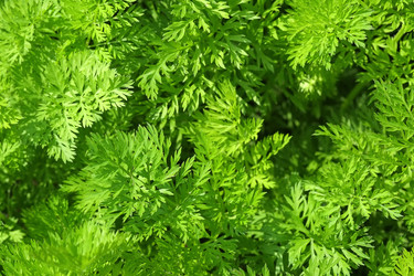 Similar image 22362507