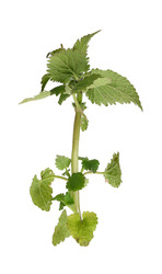 Similar image 22362536