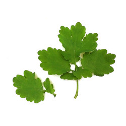 Similar image 22362885