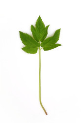 Similar image 22362886