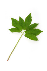 Similar image 22362917