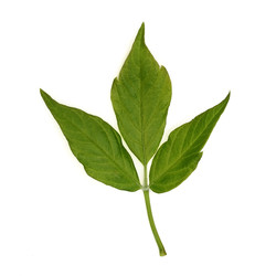 Similar image 22362918