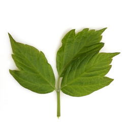 Similar image 22363021