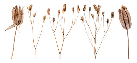 Similar image 22363037