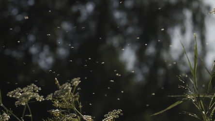 Similar image 22368548