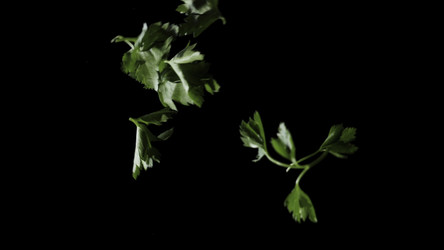 Similar image 22368700