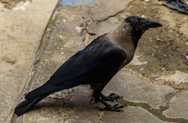 Similar image 22358733