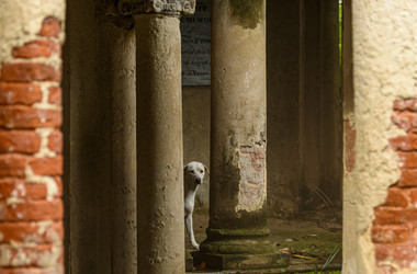 Similar image 22358734