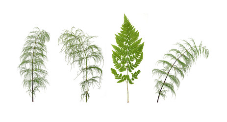 Similar image 22363201