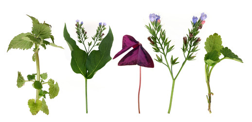 Similar image 22363202