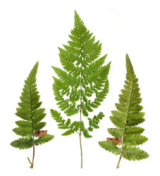 Similar image 22350582