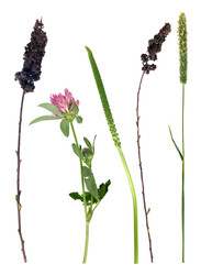 Similar image 22352804