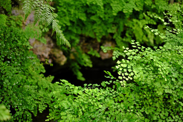 Similar image 22352812