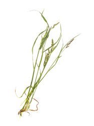 Similar image 22352820