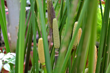 Similar image 22352827