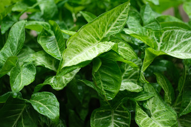 Similar image 22352834