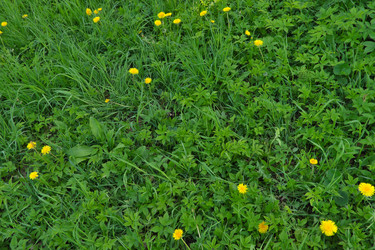 Similar image 22352841