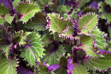 Similar image 22352848