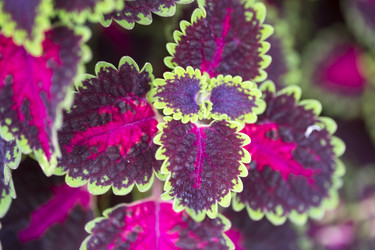 Similar image 22352862