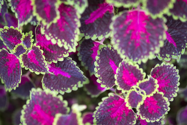 Similar image 22352876