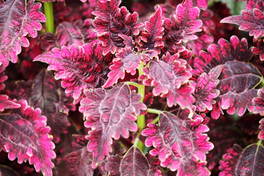 Similar image 22352883