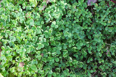 Similar image 22352891