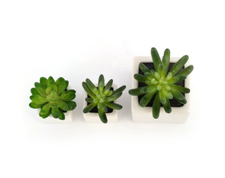 Similar image 22352941