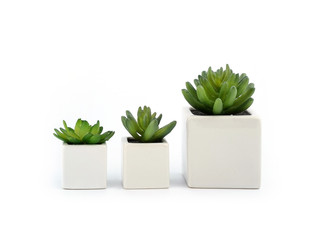 Similar image 22352951