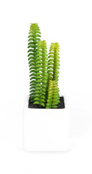 Similar image 22354008