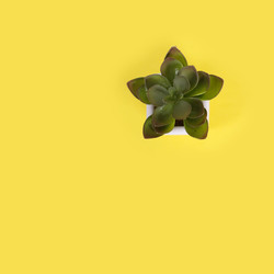 Similar image 22354023