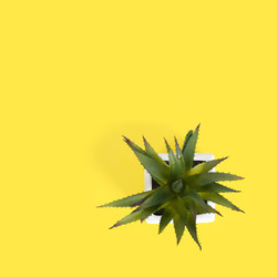 Similar image 22354039