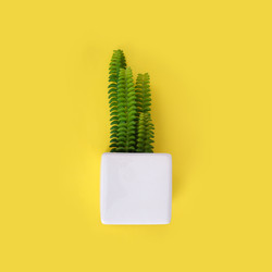 Similar image 22354054