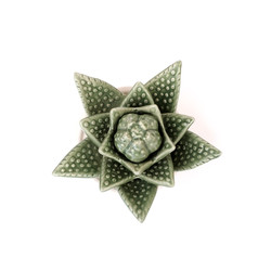 Similar image 22354123