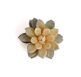 Similar image 22354173