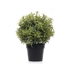 Similar image 22361370