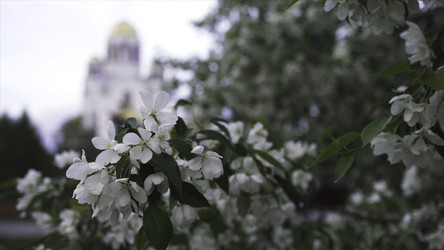 Similar image 22367190