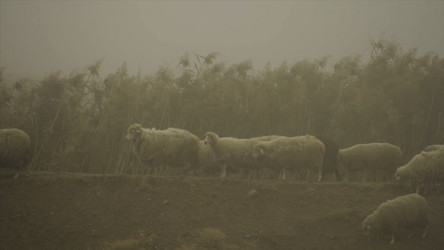 Similar image 22368071