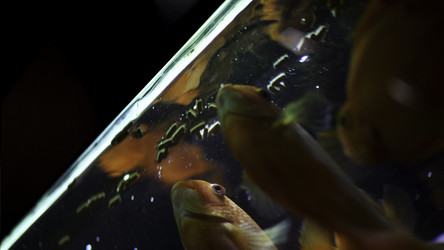 Similar image 22368323