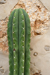 Similar image 22361674