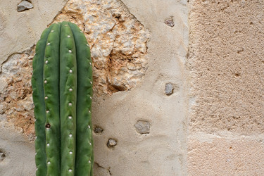 Similar image 22361675