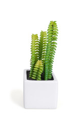 Similar image 22361703