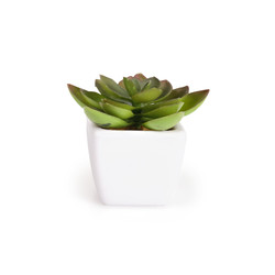 Similar image 22361718