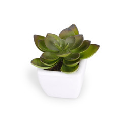 Similar image 22361719