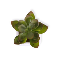 Similar image 22361736