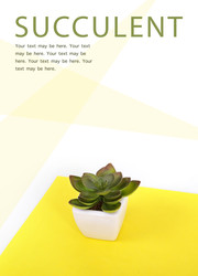 Similar image 22361737