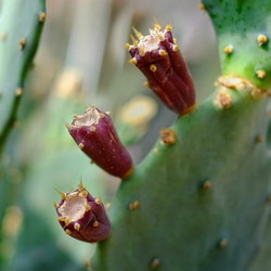 Similar image 22361739