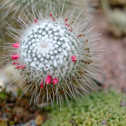 Similar image 22361740