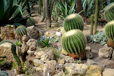 Similar image 22361760