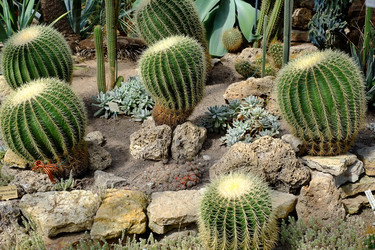 Similar image 22361761