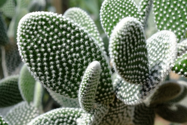 Similar image 22361775